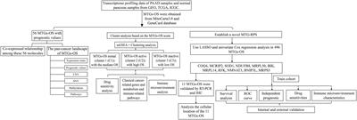 Determination and characterization of molecular heterogeneity and precision medicine strategies of patients with pancreatic cancer and pancreatic neuroendocrine tumor based on oxidative stress and mitochondrial dysfunction-related genes